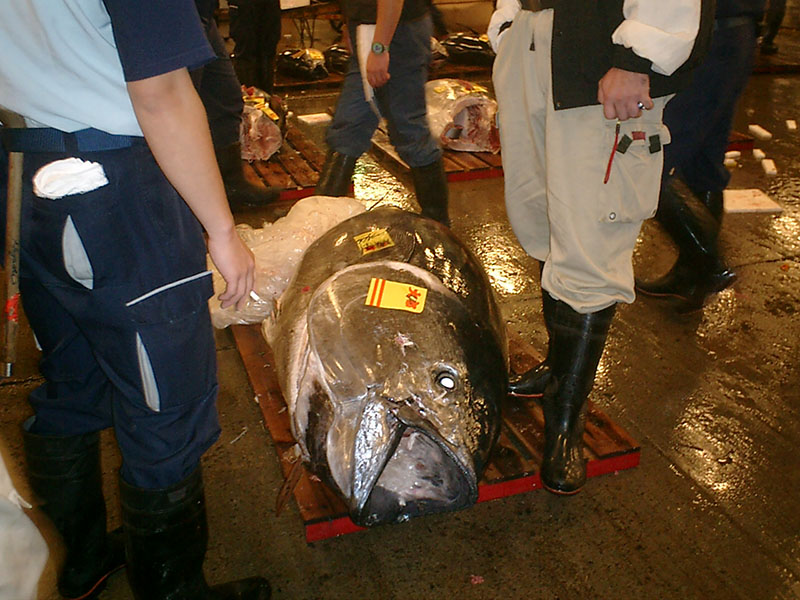 2’7 millones de euros por un atún rojo en el mercado de pescado de Toyosu, en Tokio